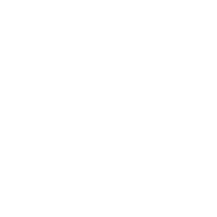 Executive Protection Solutions