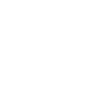 Shield icon