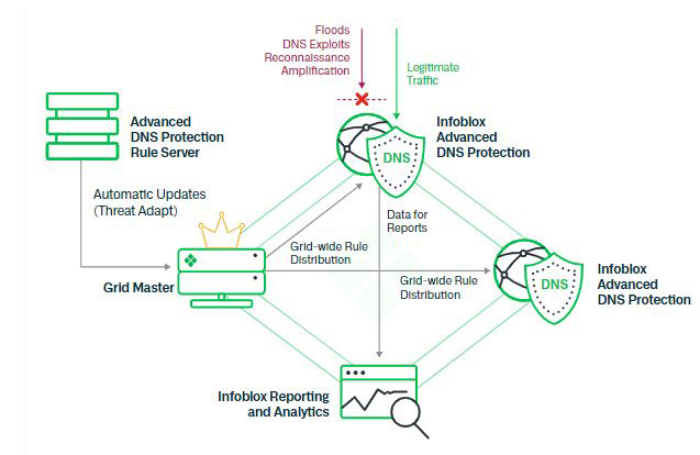 Advanced DNS Protection (ADP)