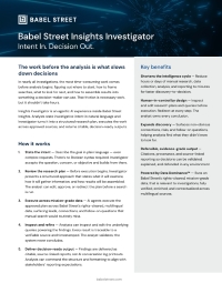 Babel Street Insights Investigator