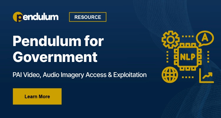 Pendulum for Government