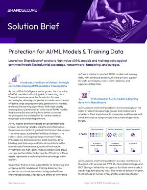 Protection for AI/ML Models & Training Data