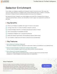 Flashpoint Selector Enrichment Service