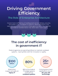 Driving Government Efficiency: The Role of Enterprise Architecture