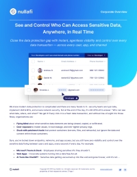 Nullafi Corporate Overview