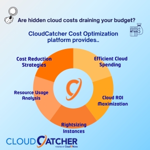 Cost Optimization