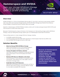 Hammerspace and NVIDIA