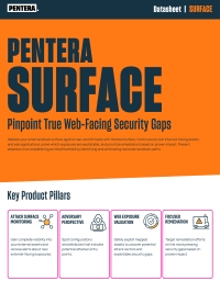 Pentera Surface