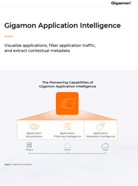 Gigamon Application Intelligence