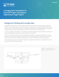 Leveraging Data Visualization for Improved Program and Systems Engineering in Large Projects