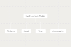 AI Precision: Understanding the Power of SLMs in EmergeGen's Data Governance Revolution
