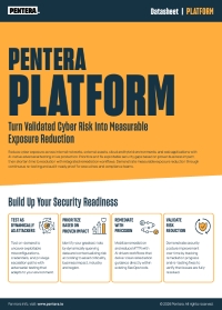 Pentera Platform