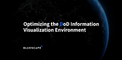 Optimizing the DoD Information Visualization Environment