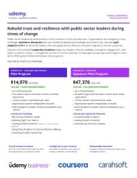 Rebuild Trust and Resilience with Public Sector Leaders During Times of Change