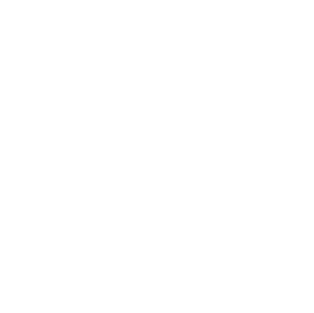 AI Automation icon