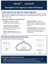 Strengthen Your Agency's Cyber Resilience
