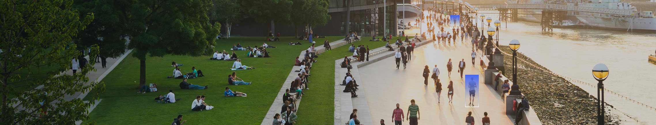 Government Page Banner Image