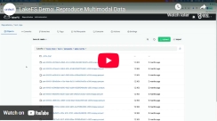 LakeFS Demo: Reproduce Multimodal Data