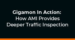 Gigamon In Action: How AMI Provides Deeper Traffic Inspection