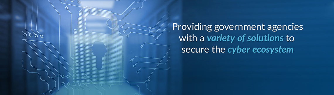 It Solutions For Government