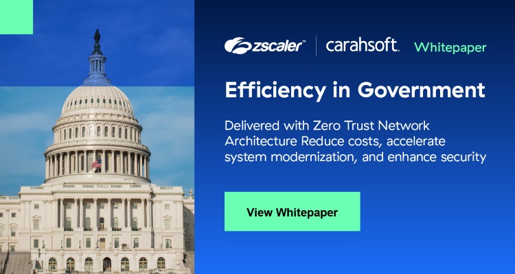 Efficiency in Government