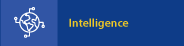 intelligence.png