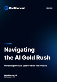 Navigating the AI Gold Rush