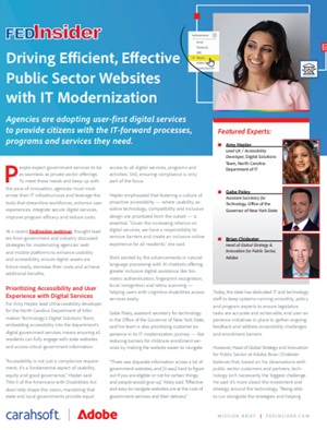 Driving Efficient, Effective Public Sector Websites with IT Modernization