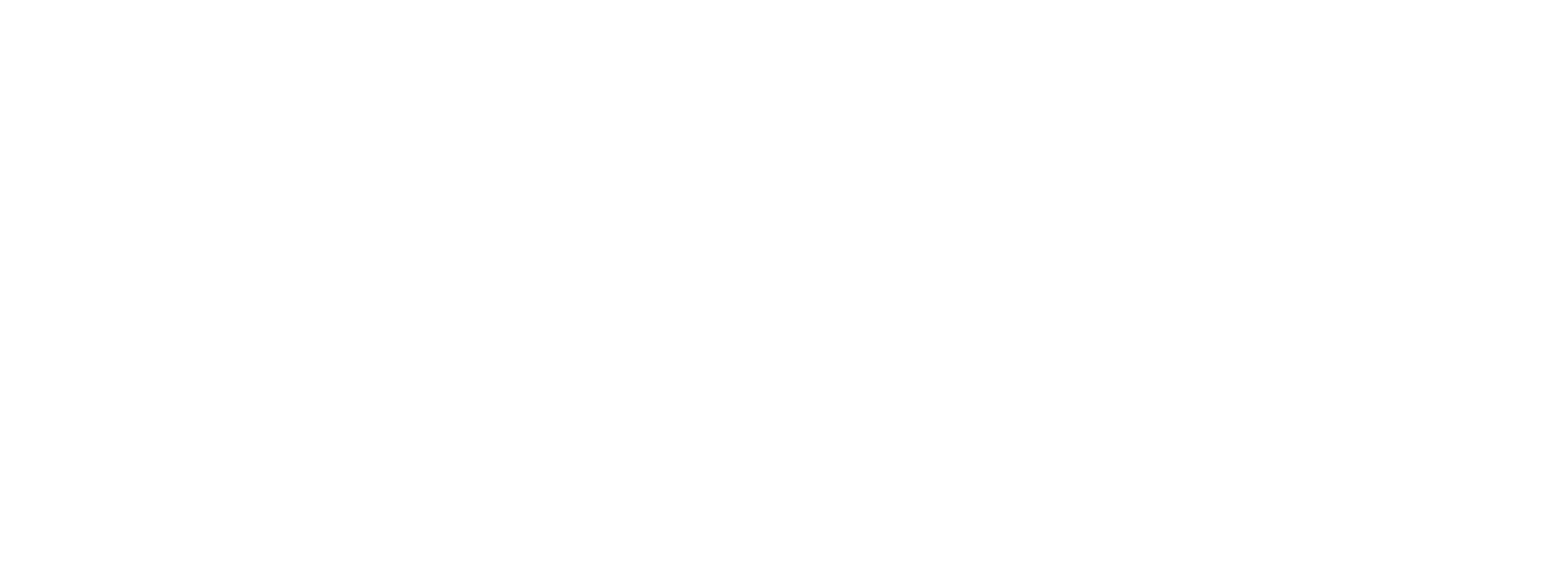 carahsoft logo