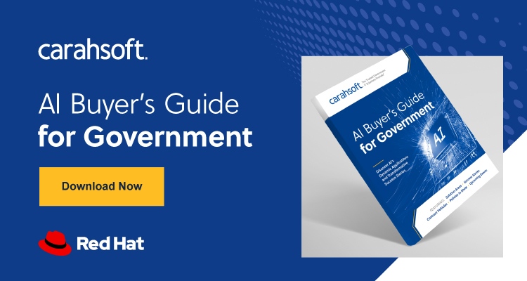 AI Buyer's Guide for Government