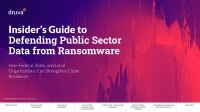 Insider's Guide to Defending Public Sector Data from Ransomware