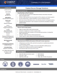 CIGENT - Capability Statement