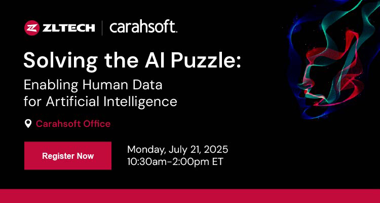 Solving the AI Puzzle
