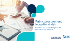 Public Procurement Integrity at Risk