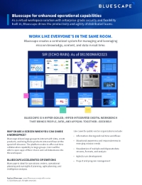 Bluescape for Enhanced Operational Capabilities