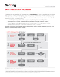 Entity Resolution Processes