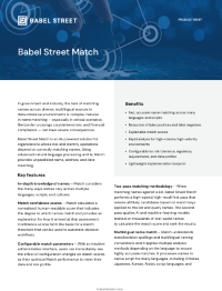 Babel Street Match
