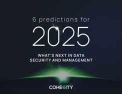 6 Predictions for 2025: What’s Next in Data Security and Management