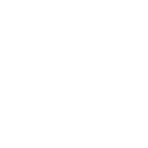 Observability + Security icon