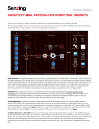 Architectural Pattern for Perpetual Insights