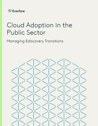 Cloud Adoption in the Public Sector