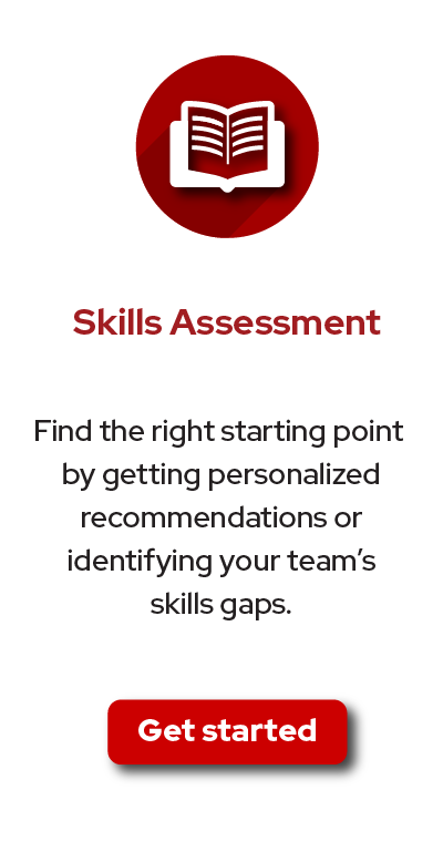 Skills Assessment banner