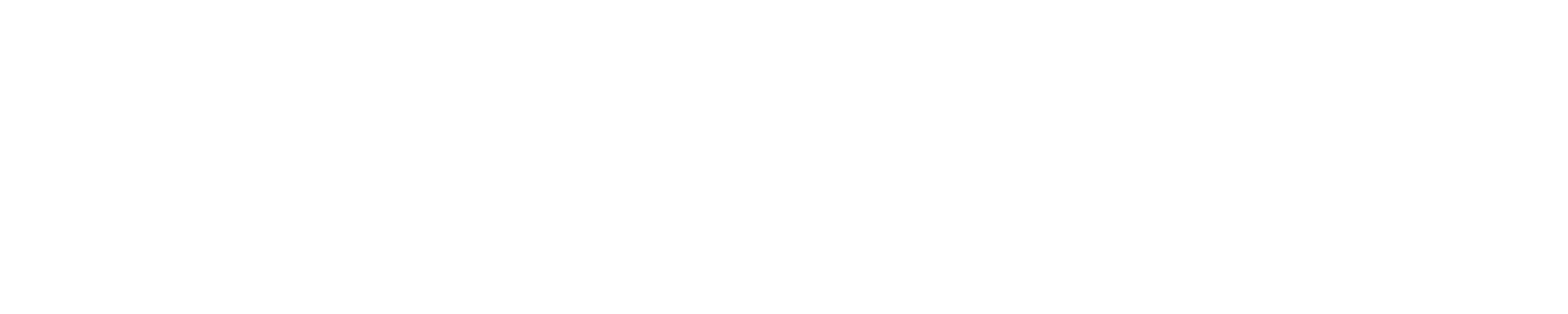 SW_Logo_Division_PublicSector_Web_White.png