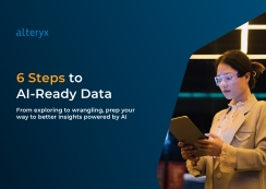 6 Steps to AI Ready Data