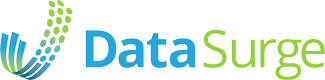 Data Surge logo