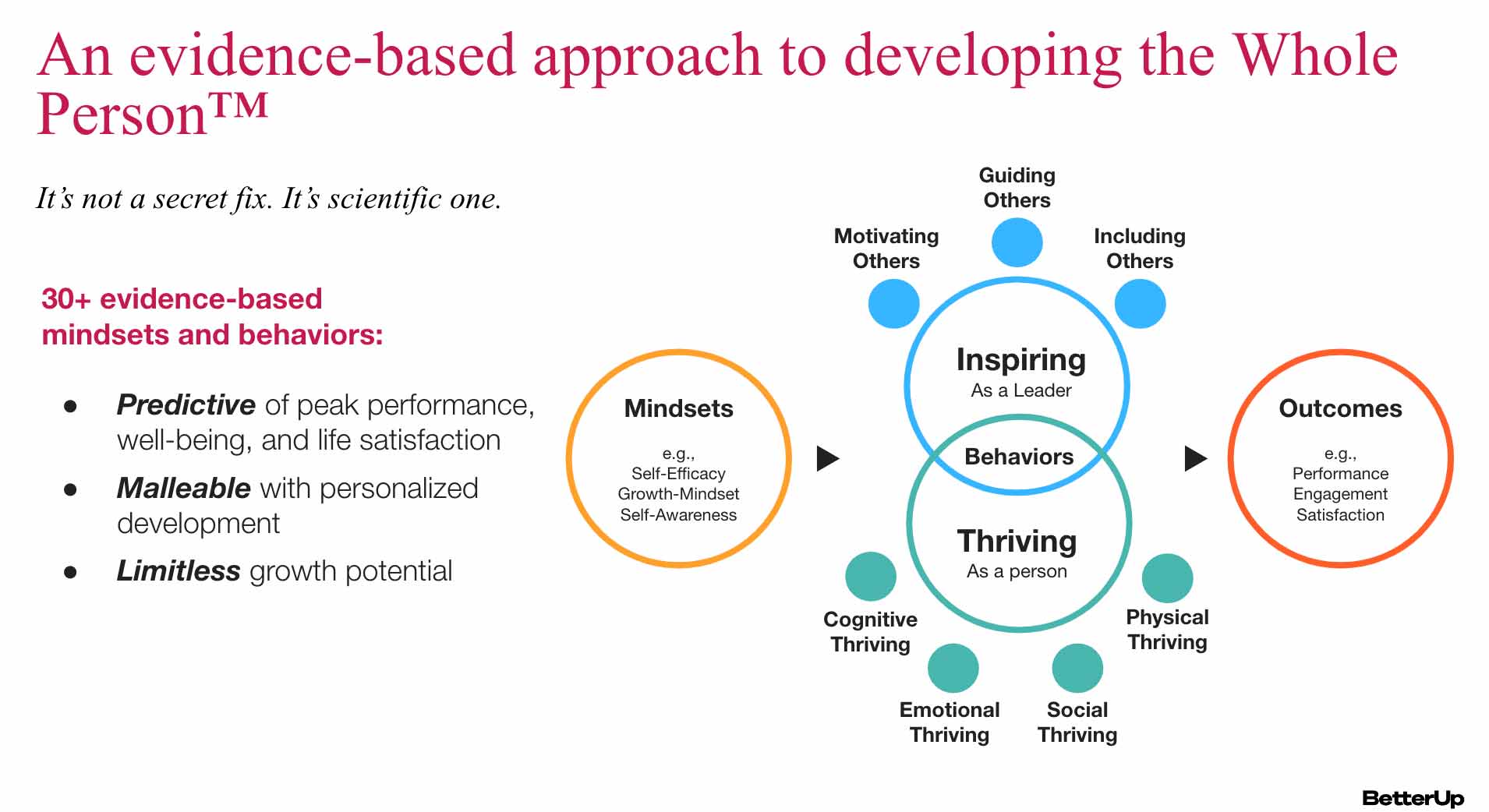 Whole Person Model 