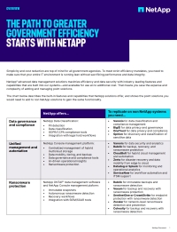 The Path to Greater Government Efficiency Starts with NetApp