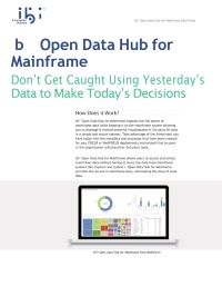 ibi™ Open Data Hub for Mainframe