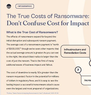 True Costs of Ransomware Infographic