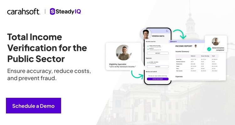 Total Income Verification for the Public Sector